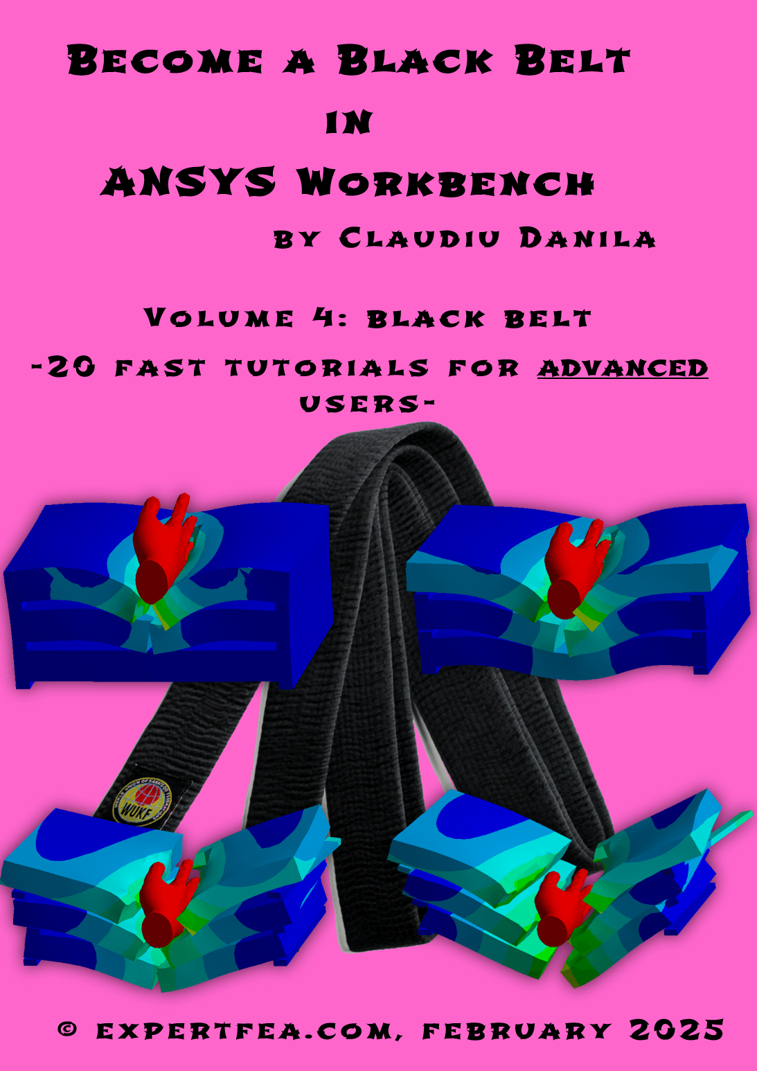 Become a Black Belt in ANSYS Workbench - Volume 4, Black Belt